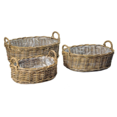 Cesta desi