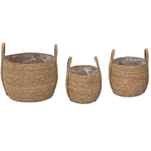 Cesta natural