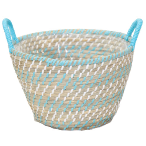 Cesta potato
