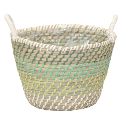 Cesta potato