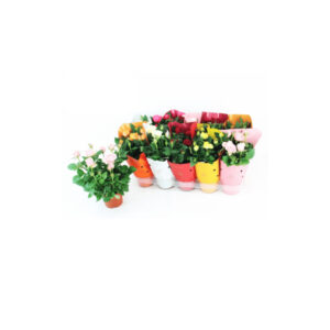 Rosal mini